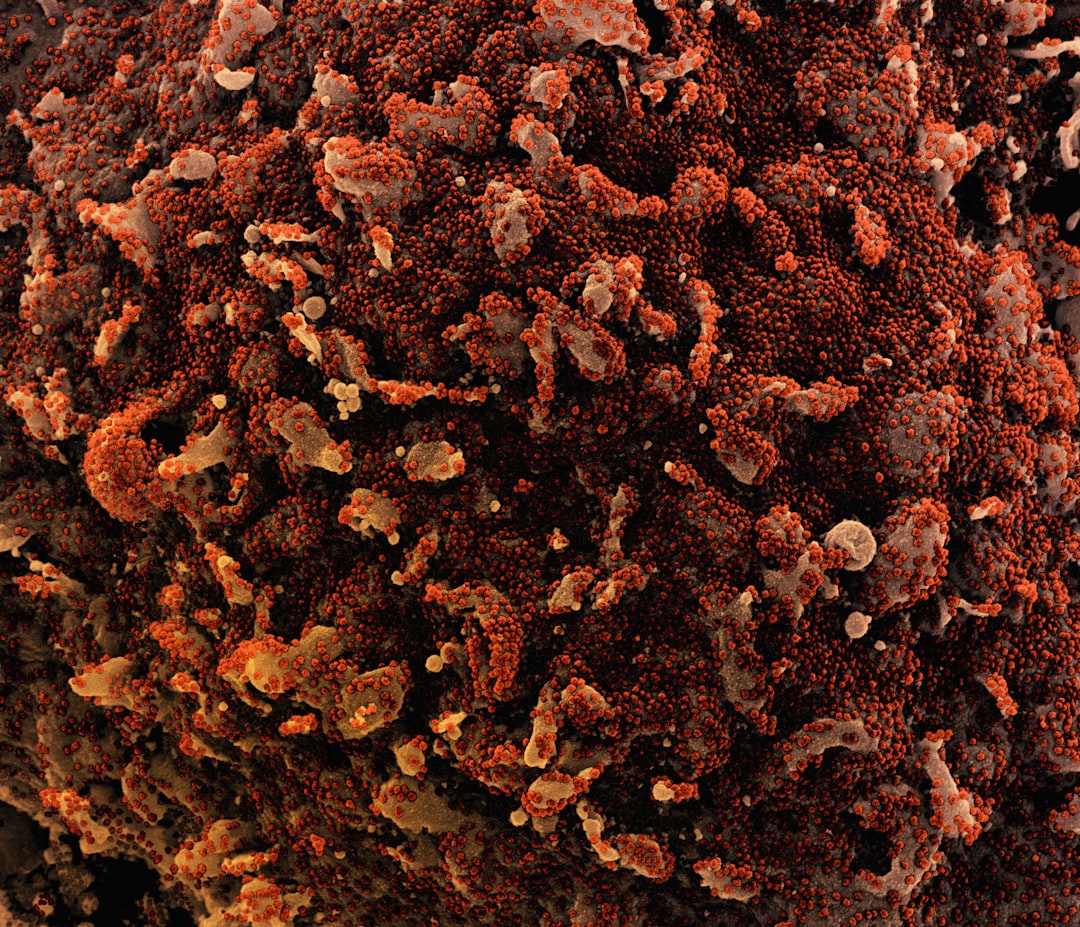 a close up of a red and brown substance representing a skin lesion
